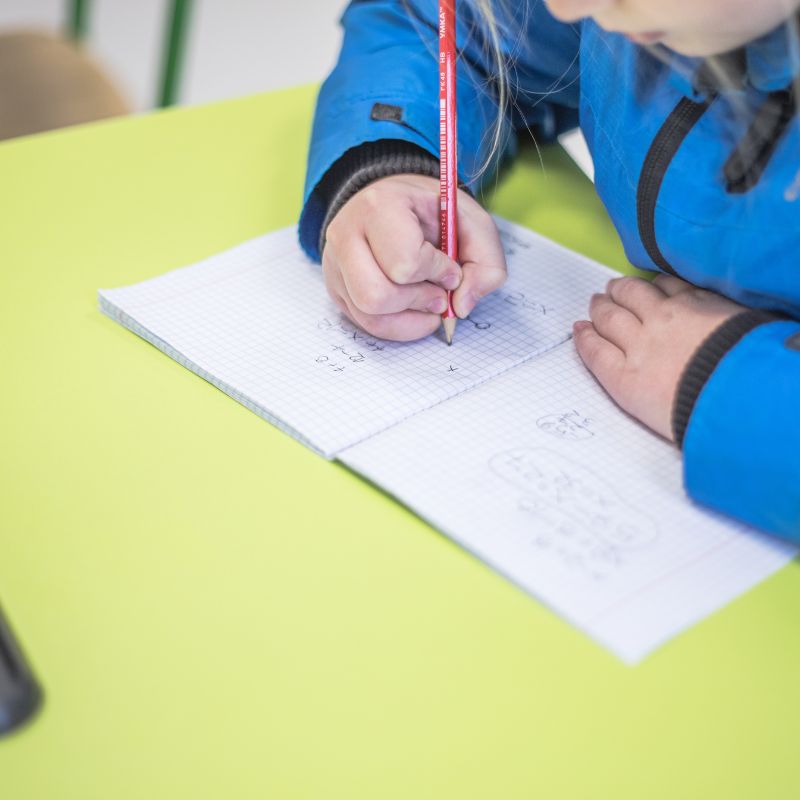 Rieducazione alla scrittura